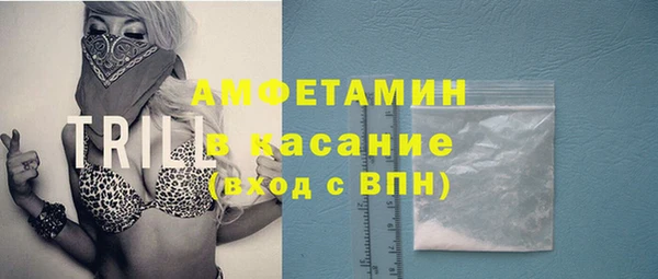индика Михайлов