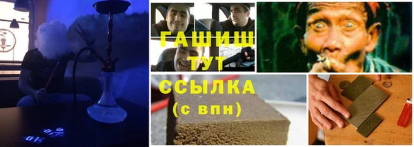 индика Михайлов