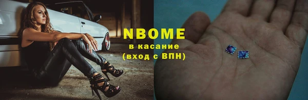 индика Михайлов