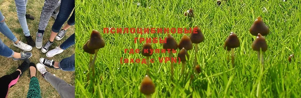 индика Михайлов