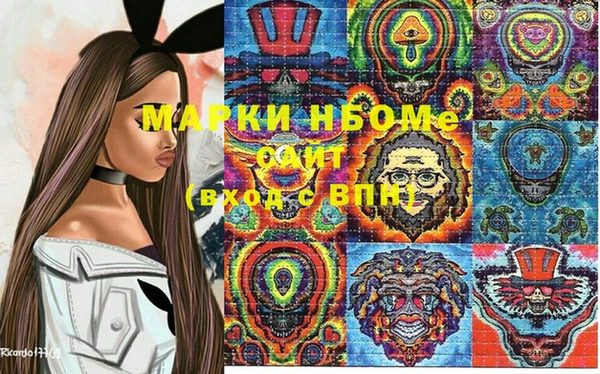 индика Михайлов