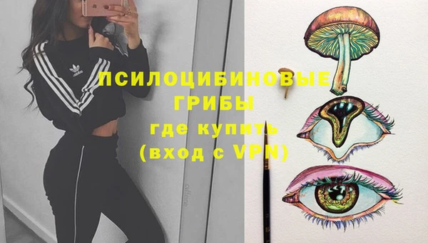 амф Михайловск